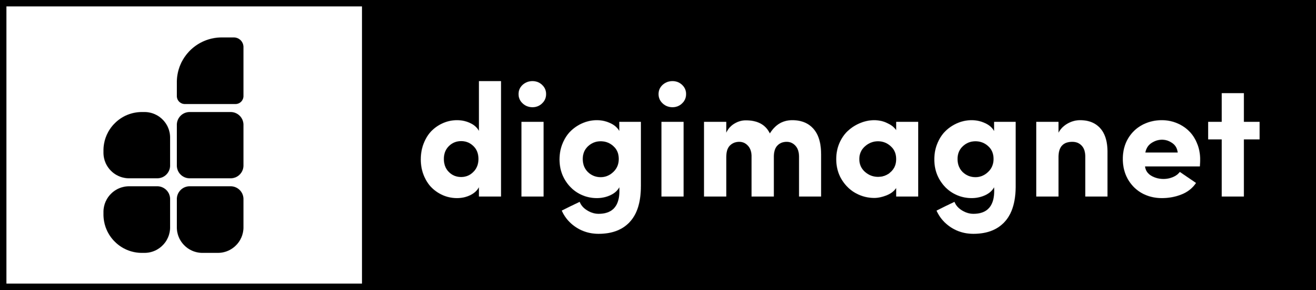 DigiMagnet Consulting